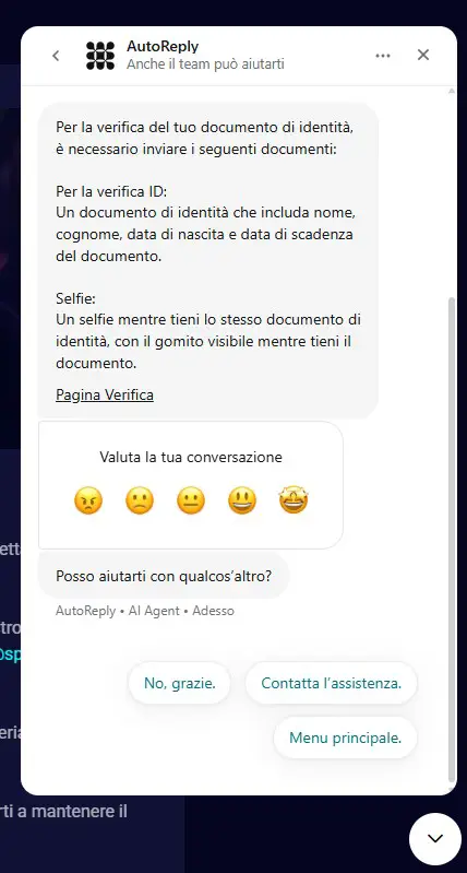 assistenza chat spinjo